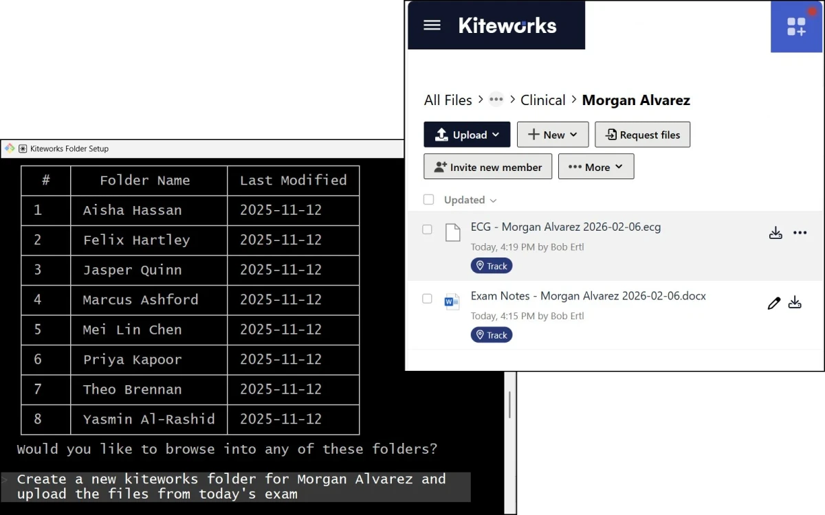 Clinical file management system interface showing folder structure and document tracking with audit capabilities
